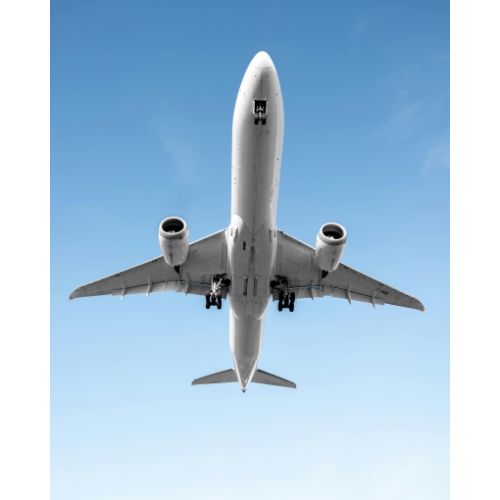 Jasa Forwarder Import